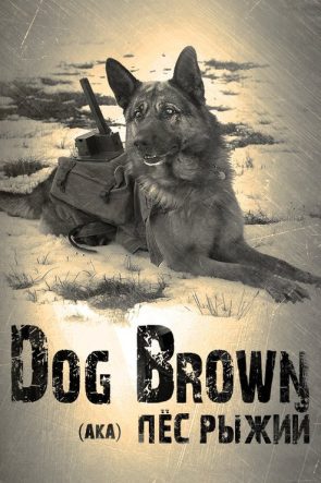 عشان خارجين izle (2016)