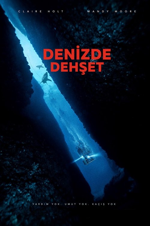 Denizde Dehşet izle (2017)
