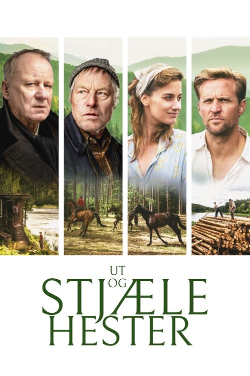 Ut og stjæle hester izle (2019)
