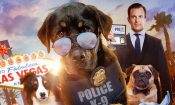 Gösteri Köpekleri izle
