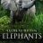 Secrets of the Elephants : 1.Sezon 2.Bölüm izle