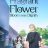 The Fragrant Flower Blooms with Dignity : 1.Sezon 2.Bölüm izle
