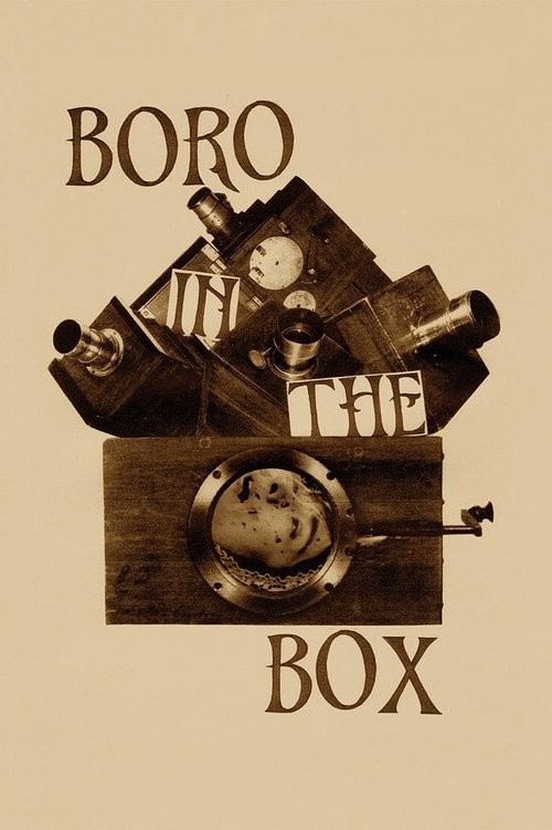 Boro in the Box izle (2014)