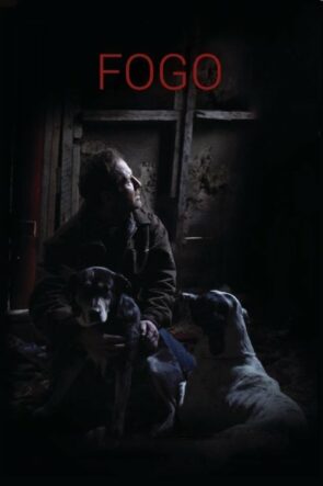Fogo izle (2012)