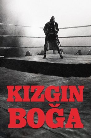 Kızgın Boğa izle (1980)
