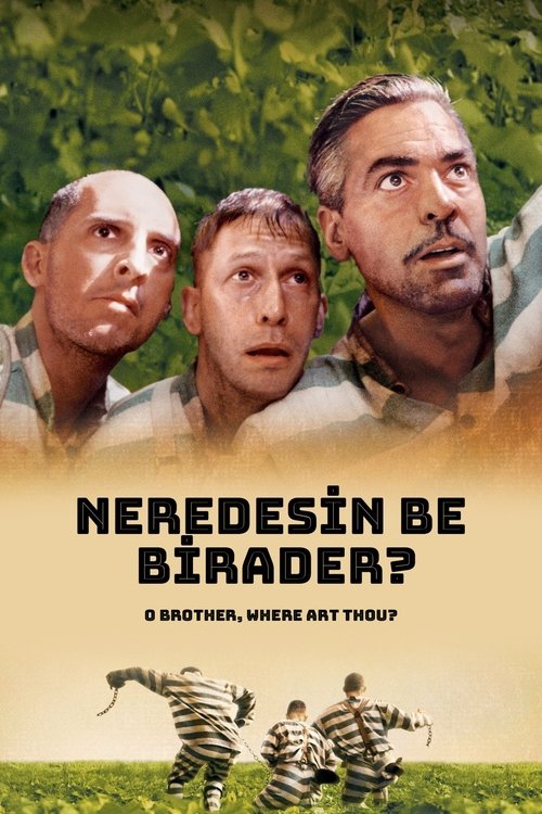 Neredesin Be Birader? izle (2000)