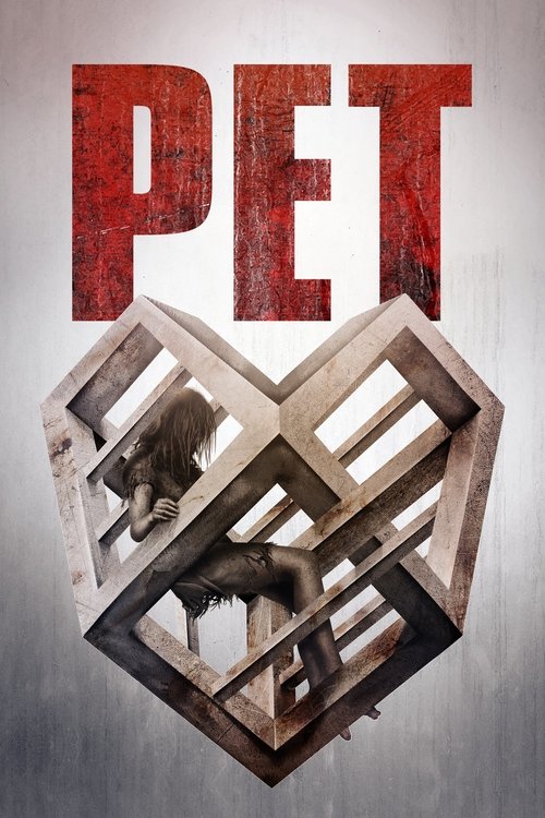 Pet izle (2016)